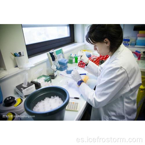 Máquina de hielo en escamas de laboratorio barata